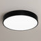 Стельові світильники Black ceiling Led 3000K + 4000K + 6000K D25 / D30 / D40 / D50 Black 250676-200001659