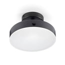 Стельовий поворотний світильник Rondo LED Ceiling D-20см Led 18W 3000K 4000K 6000K Black 250677-200001681