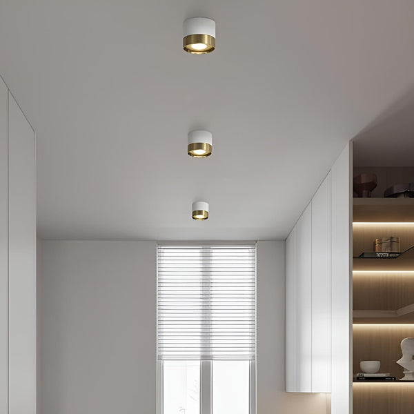 Точковий світильник накладний Spoon Н80 D100 White + Gold 241010-200001244