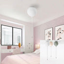 Підвісні світильники Ballon White / Pink / Grey H1200 1xE27 D200 / D250 / D300 / D350 240118-200000672