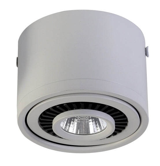 Точкові накладні поворотні світильники Eye 4000K White D80 Led 5W / D90 Led 7W / D120 Led 12W 241036-200001212