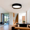 Стельовий світильник Rando D-40см Led 60W 3000K + 4000K + 6000K Black 250676-200001662