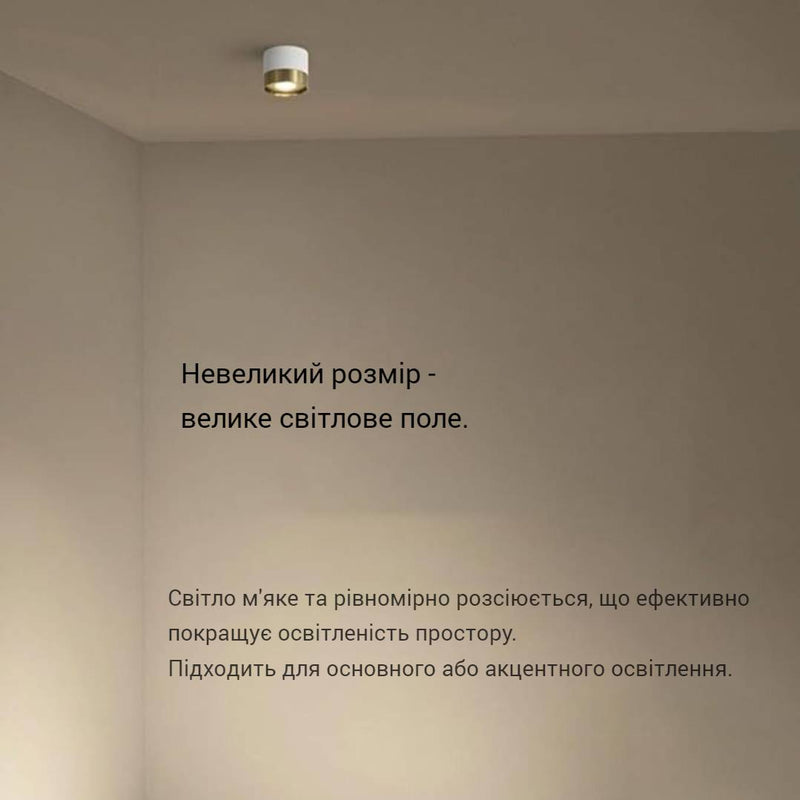 Точковий світильник накладний Spoon Н80 D100 White + Gold 241010-200001244
