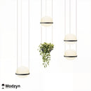 Підвіс Led Garden Modzyn Design 24013-192228