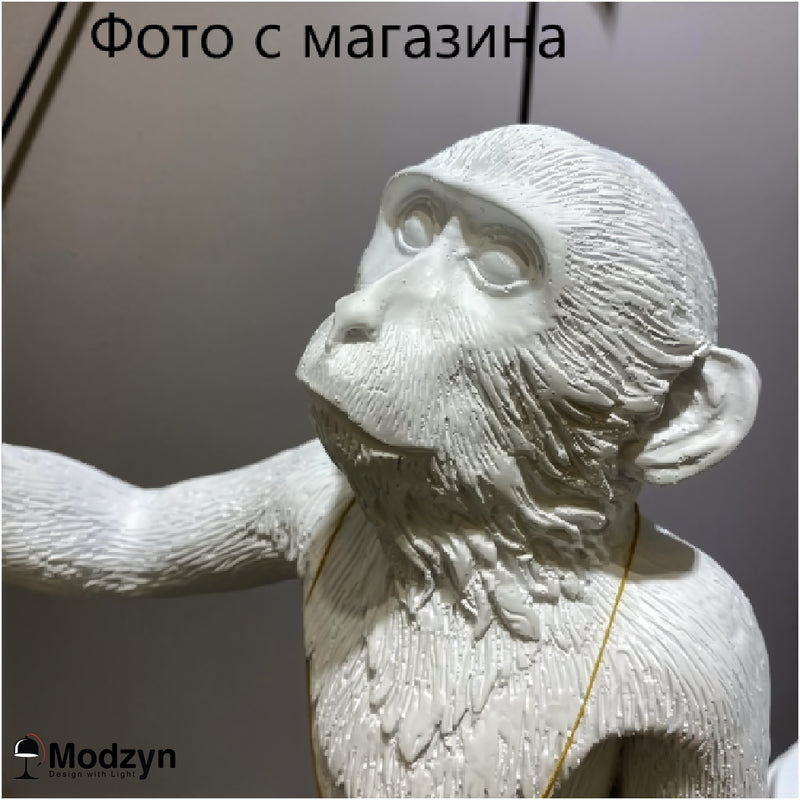 Настільний Світильник Monkey Modzyn Design 21103-37975