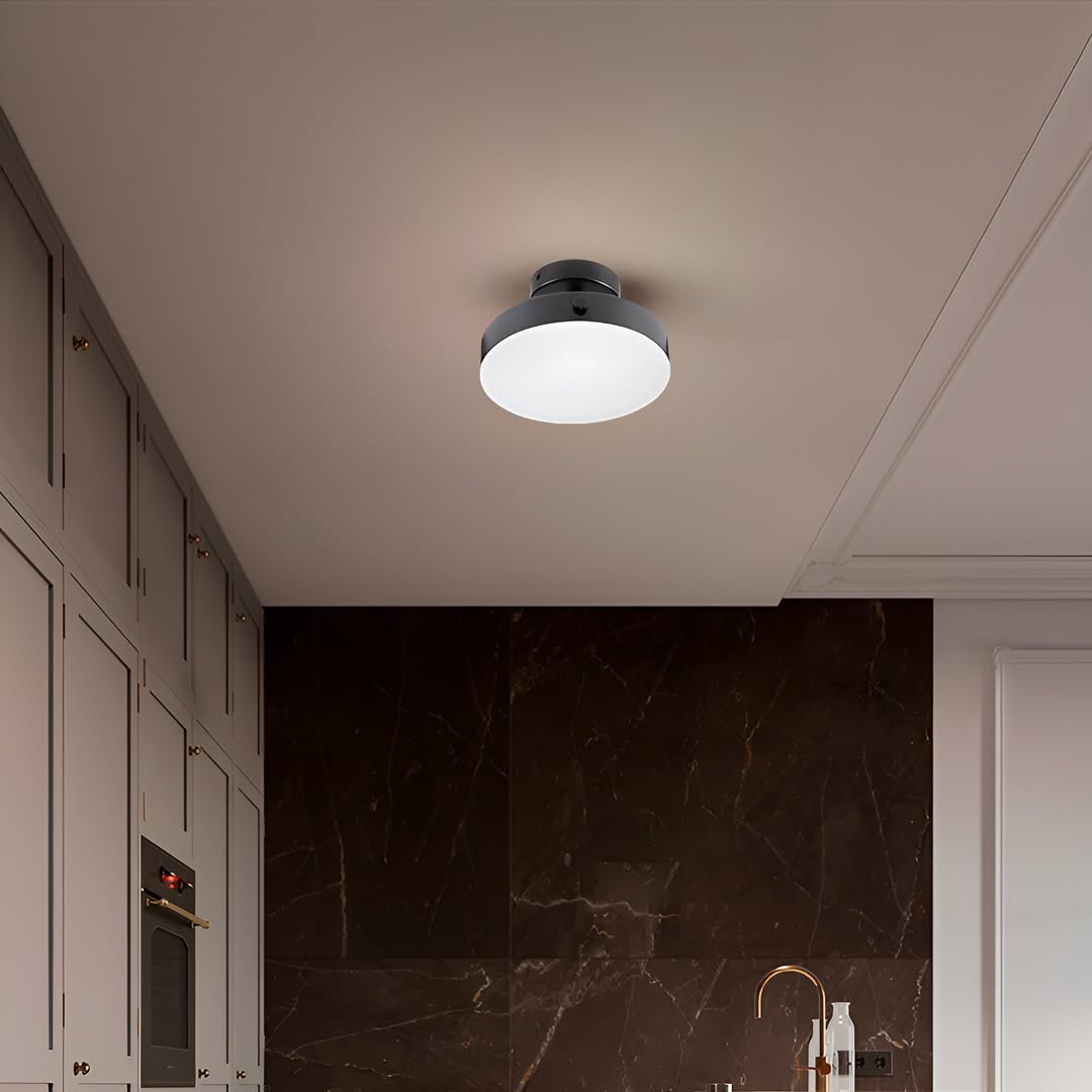 Стельовий поворотний світильник Rondo LED Ceiling D-20см Led 18W 3000K 4000K 6000K Black 250677-200001681