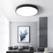 Стельові світильники Black ceiling Led 3000K + 4000K + 6000K D25 / D30 / D40 / D50 Black 250676-200001659