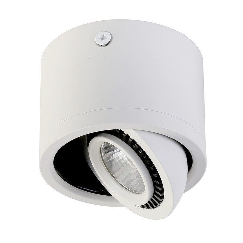 Точкові накладні поворотні світильники Eye 4000K White D80 Led 5W / D90 Led 7W / D120 Led 12W 241036-200001212